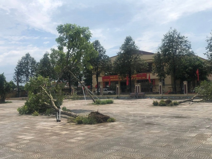 Hà Nội: Tôn bay, cây đổ do giông lốc - 7