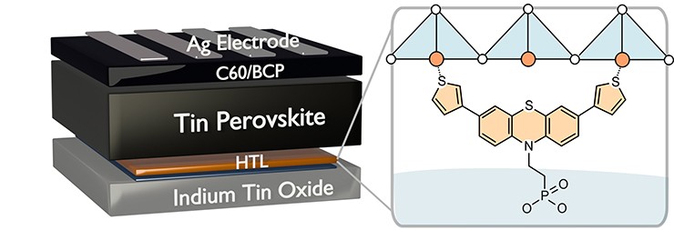 Lớp đơn phenothiazine cho phép tạo thành màng perovskite có chất lượng quang điện tử tốt và giảm thiểu tổn thất tái hợp.