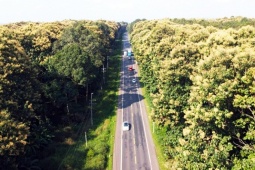 Ngỡ lạc vào phim khi đi trên con đường 5km xuyên rừng cổ thụ ở Đồng Nai