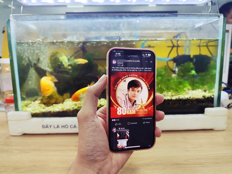 Một người dùng Facebook chia sẻ hình ảnh đại diện với khung viền 80 năm đẹp mắt.
