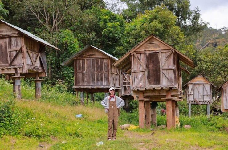 Ảnh Măng Đen local