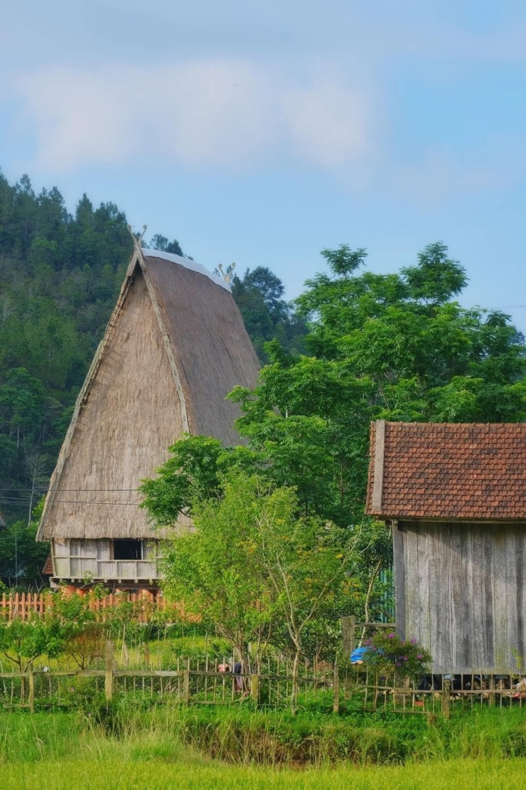 Ảnh Tuyên Parafu