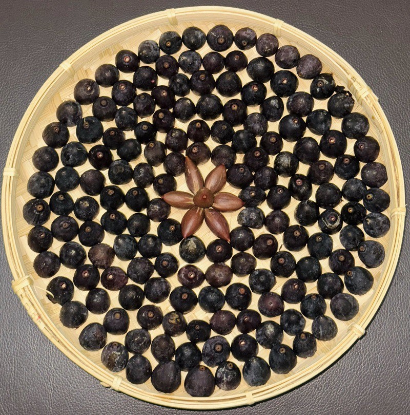 Trám đen đã ỏm chín, cắt đôi để chuẩn bị nhồi gạo mang đi hấp thành xôi. (Ảnh: Bảo An)