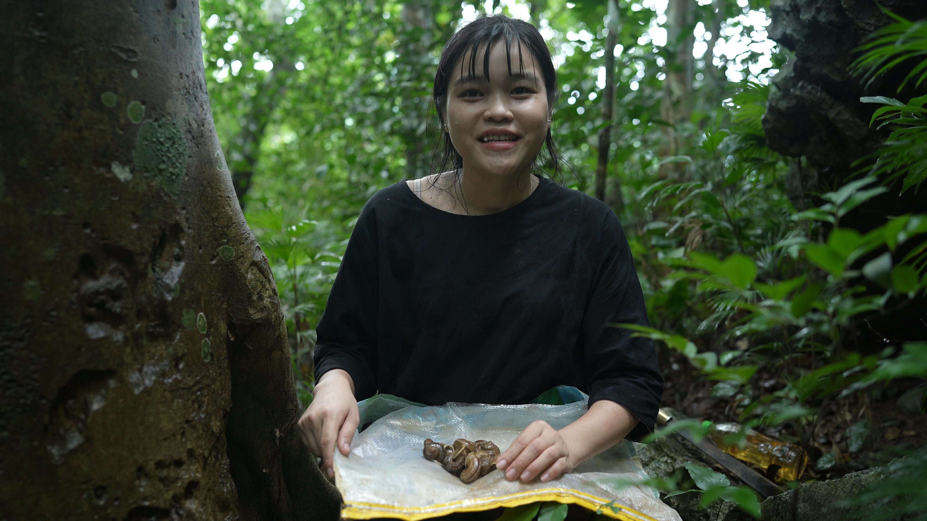Tuy nhiên, vài năm gần đây, ốc núi được coi là đặc sản nhiều người yêu thích bởi có độ giòn, ngọt lại thơm mùi thuốc Bắc. Vì vậy, cứ đến mùa mưa, người dân lại rủ nhau đi tìm ốc về bán với giá lên đến hàng trăm nghìn đồng/kg nên lượng ốc núi ngày càng ít đi. (Ảnh: Lê Thị Thuỷ)