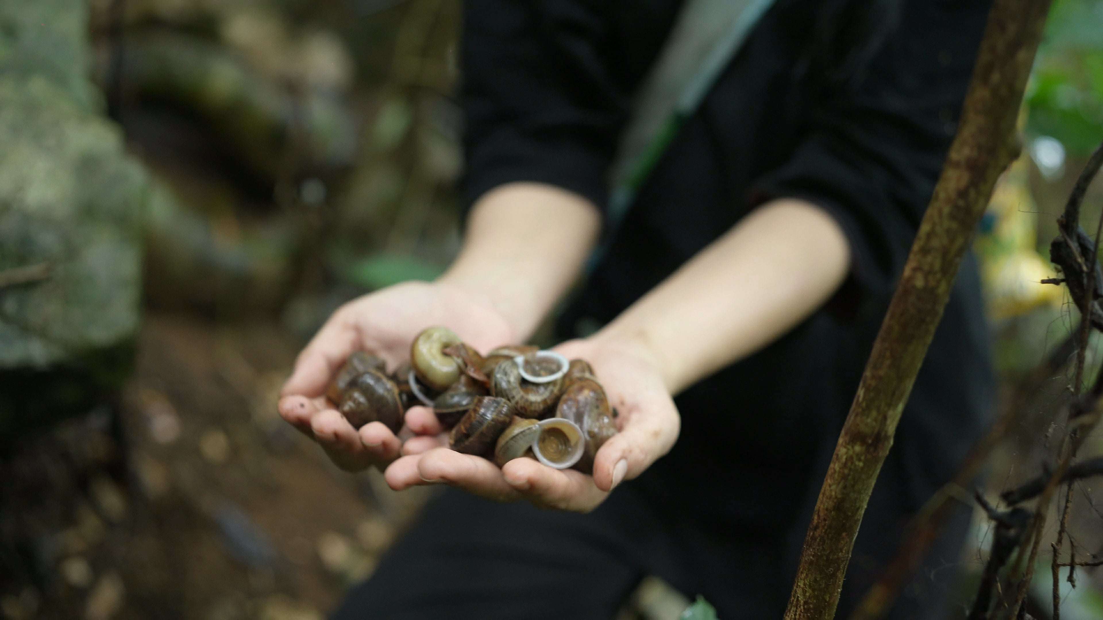  “Vào mùa đông, tôi đi cả ngày cũng không kiếm được con nào. Mùa mưa, nếu may mắn thì chỉ tầm 30 phút là nhặt được cả cân, không may thì cả ngày cũng chỉ được vài con”, chị Thuỷ nói. (Ảnh: Lê Thị Thuỷ)