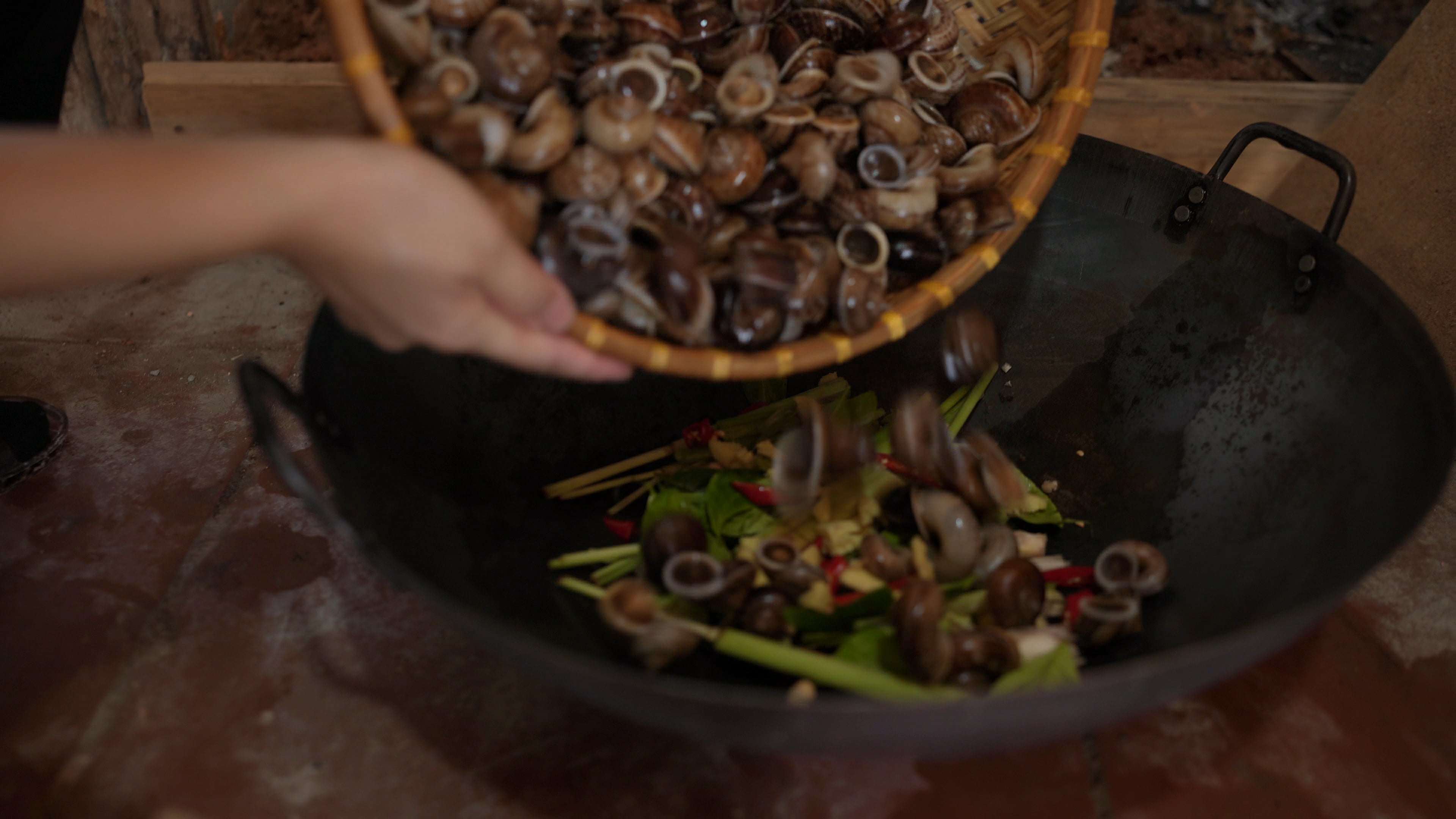  Do thức ăn của ốc núi là cây cỏ mọc hoang trên rừng, trong đó có cả những cây thuốc quý. Vì vậy, khi sơ chế ốc núi, người ta thường không ngâm kỹ như các loại ốc khác vì sợ chúng thải hết vị thuốc lưu giữ ở phần đuôi ốc. (Ảnh: Lê Thị Thuỷ)