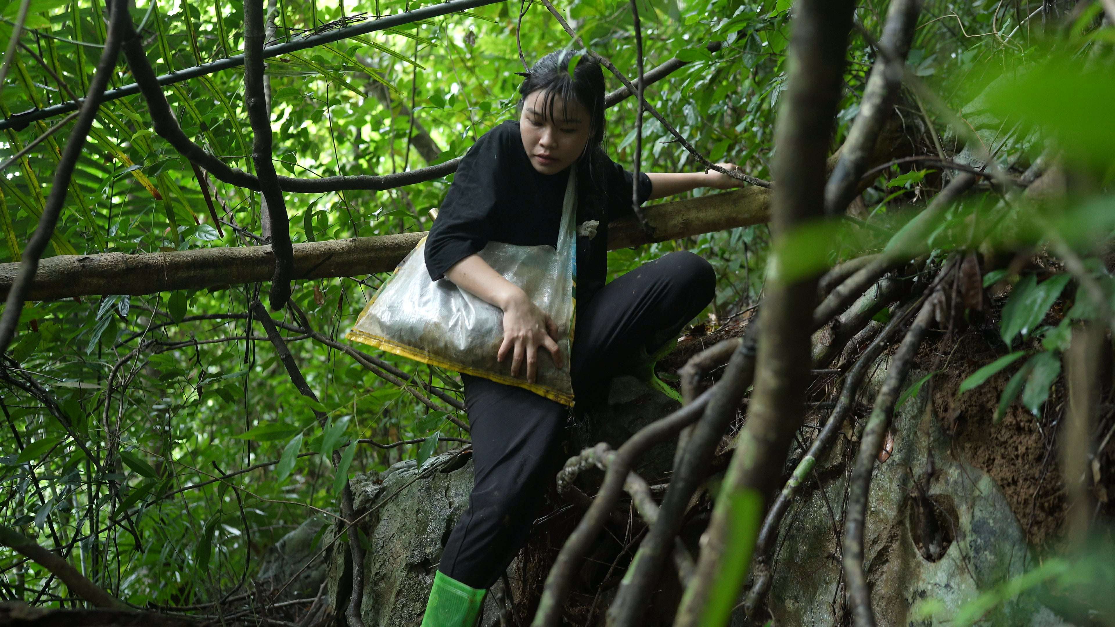 “Mọi người thường đi thành nhóm từ 2-3 người trở lên và đi vào chiều tối hoặc sáng sớm sau khi có mưa rào. Khi đó, ốc chui ra để tìm thức ăn mới có thể thấy được”, chị Thuỷ nói. (Ảnh: Lê Thị Thuỷ)