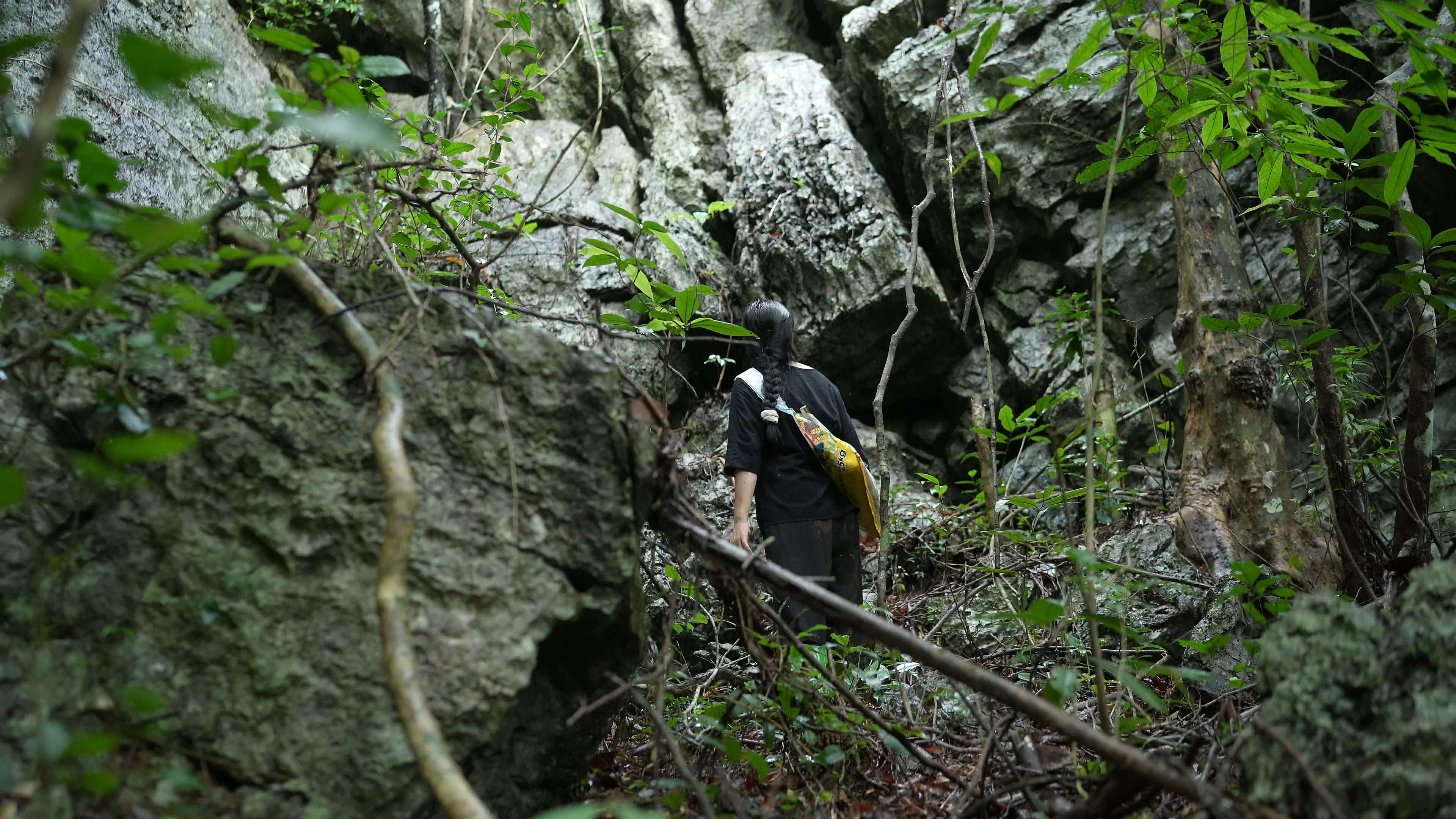 Không chỉ vậy, sau cơn mưa, đường núi rất trơn trượt, chỉ cần sơ xẩy là ngã, rất nguy hiểm nên phải thật cẩn thận. (Ảnh: Lê Thị Thuỷ)