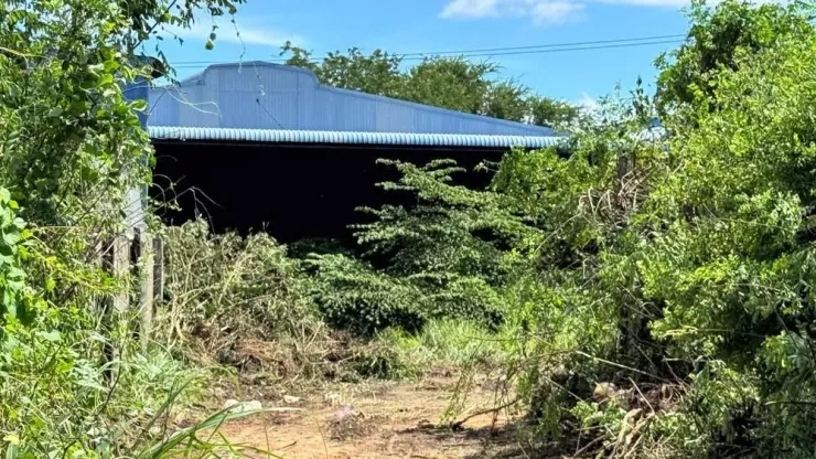 Căn nhà kho bỏ hoang, cỏ mọc um tùm.