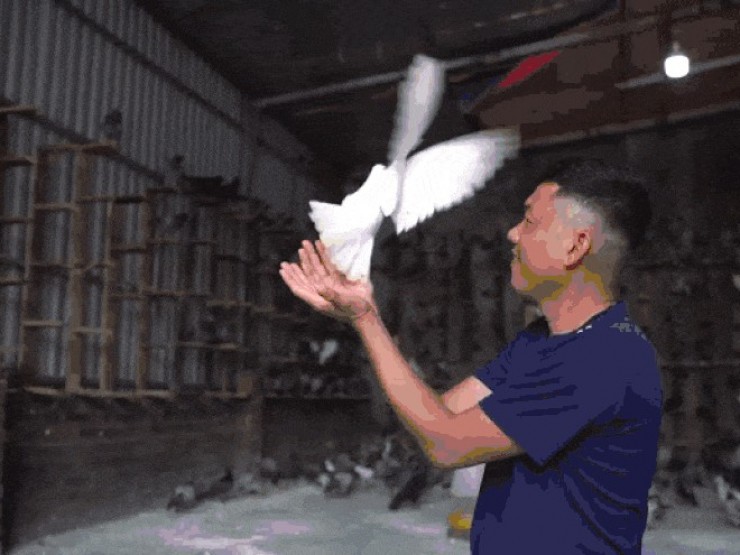 ‘Khối lông vũ’ hòa bình sẵn sàng tung bay trên Quảng trường Ba Đình ngày 2/9