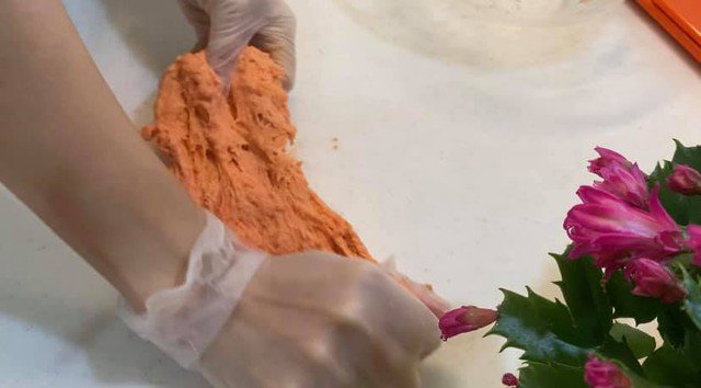Carot gọt vỏ cắt nhỏ cho vào máy xay nhuyễn vắt lấy 140ml nước. Cho bột mì, sữa chua, men nở, muối, đường, nước carot, màu đỏ, dầu ăn vào thau trộn đều. Cho bột ra bàn sạch, nhồi tay khoảng 5 phút cho mịn. Trộn đều cho bột thành 1 khối màu vàng đều, vo tròn rồi đậy giấy kính để bột không bị khô.