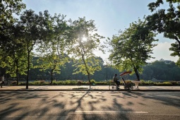 Tin tức trong ngày - Hà Nội có mưa bất chợt, ngày nắng 33 độ