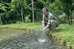 Thị trường - Tiêu dùng - Theo dòng suối săn loài cá quý, lão nông người Thái khoe ‘mua ô tô, gửi tiết kiệm'