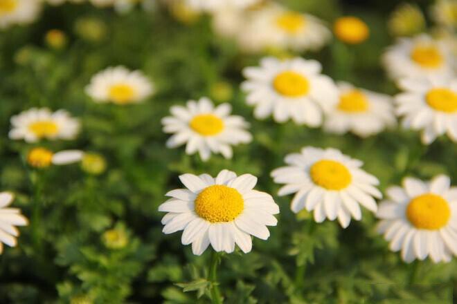 Dù giàu hay nghèo, 3 chữ "không" suốt đời phải luôn ghi nhớ - 1