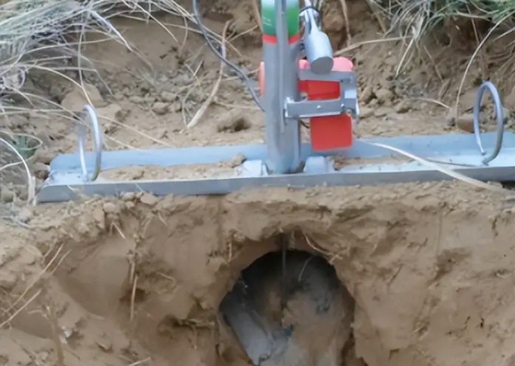 Đem loài gây hại đi ngâm rượu, giá tăng “đột biến” hơn 1 triệu/kg - 2