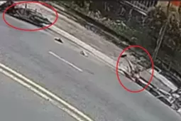 [Clip] Giải cứu hai cha con đi xe máy lọt xuống cống thoát nước trên đường ở TPHCM