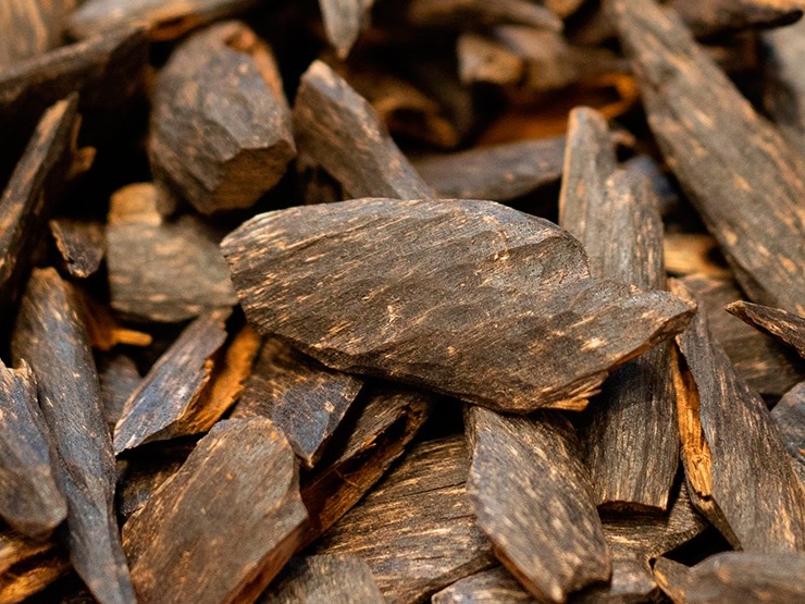Gỗ trầm hương khá cứng và nặng, thường có màu nâu hoặc sọc (chỉ) nâu đen, cây dó bầu càng lâu năm thì màu sẽ càng nhạt, song chất lượng trầm càng tốt. 