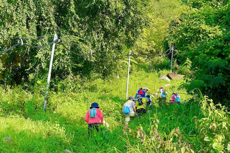 Hành trình các bạn trẻ leo núi này bằng đường cột điện. Ảnh: N.H