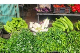 Loại củ ví như ‘nhân sâm mùa thu’ vào chính vụ, giá rẻ bèo, giúp thải độc gan, kiểm soát đường huyết