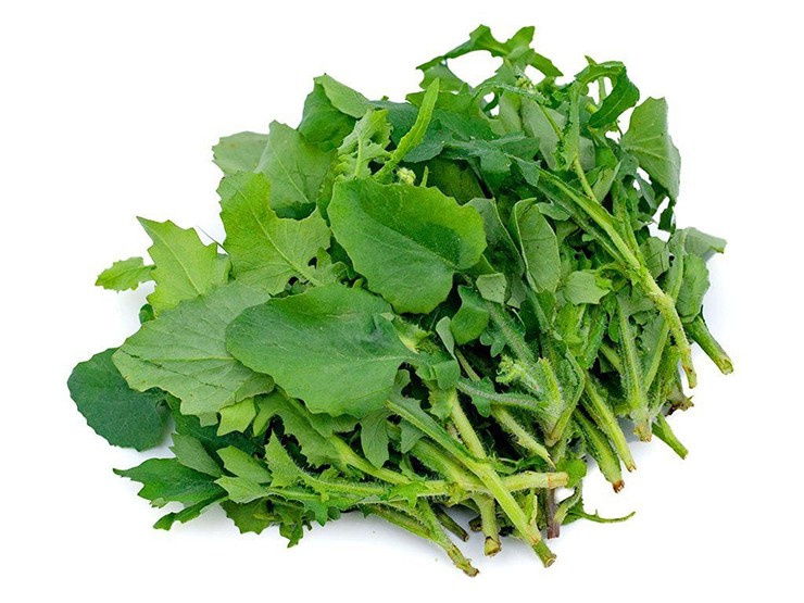 Cải trời có nhiều loại nhưng đặc điểm chung là lá có hình trái xoan, rộng khoảng 3 - 4 ngón tay chụm lại. Cải trời có nhiều loại nhưng đặc điểm chung là lá có hình trái xoan, rộng khoảng 3 - 4 ngón tay chụm lại.