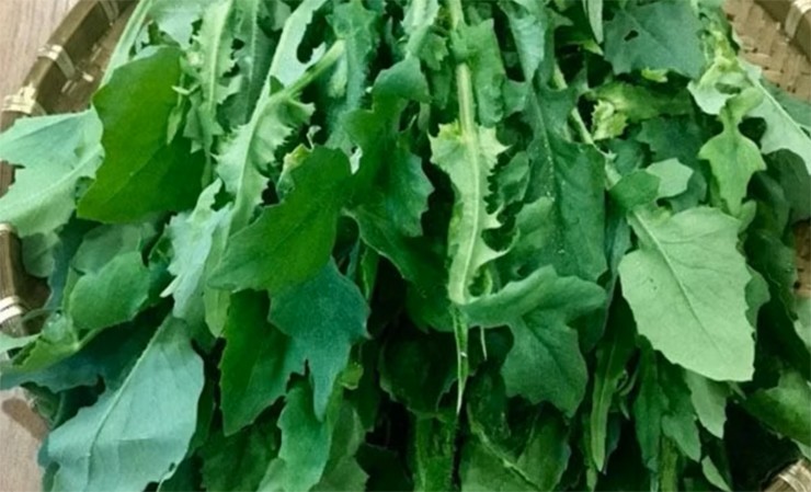 Cải trời chứa hàm lượng lớn những loại vitamin cần thiết cho cơ thể như: Vitamin A, vitamin C. Cải trời chứa hàm lượng lớn những loại vitamin cần thiết cho cơ thể như: Vitamin A, vitamin C.
