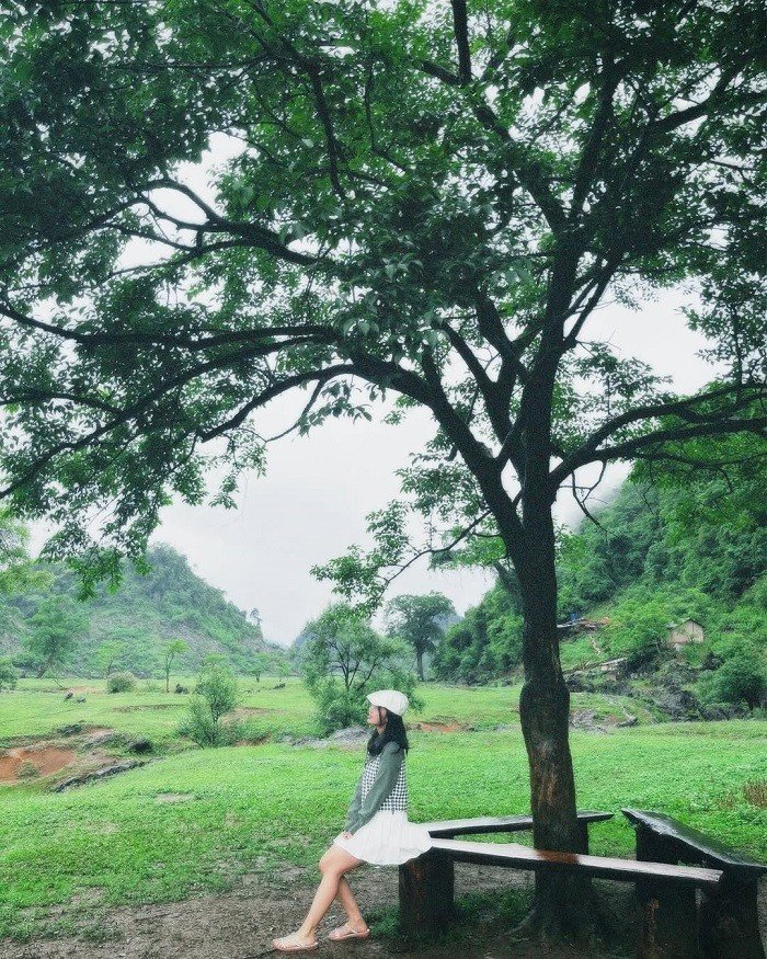 Ảnh Ngọc Huyền