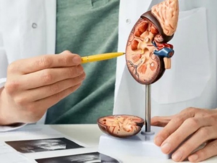 8 thói quen tàn phá 2 quả thận những nhiều người vẫn cố tình mắc phải