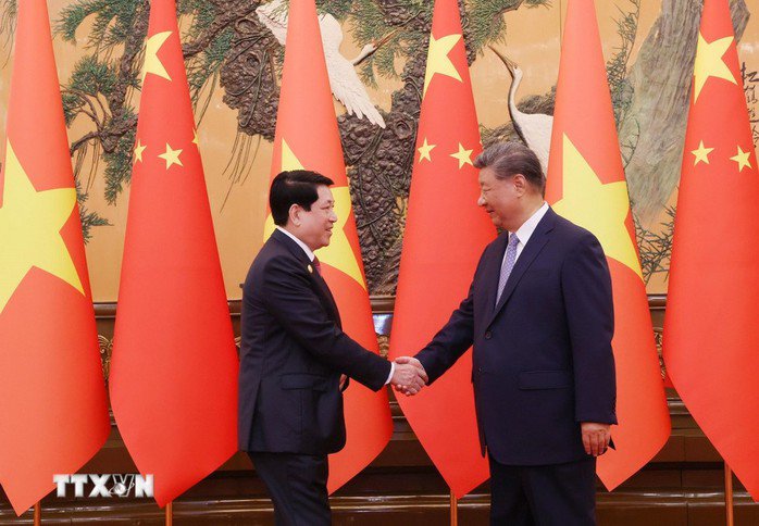 Chủ tịch nước Lương Cường hội đàm với Tổng Bí thư, Chủ tịch Trung Quốc Tập Cận Bình - 2