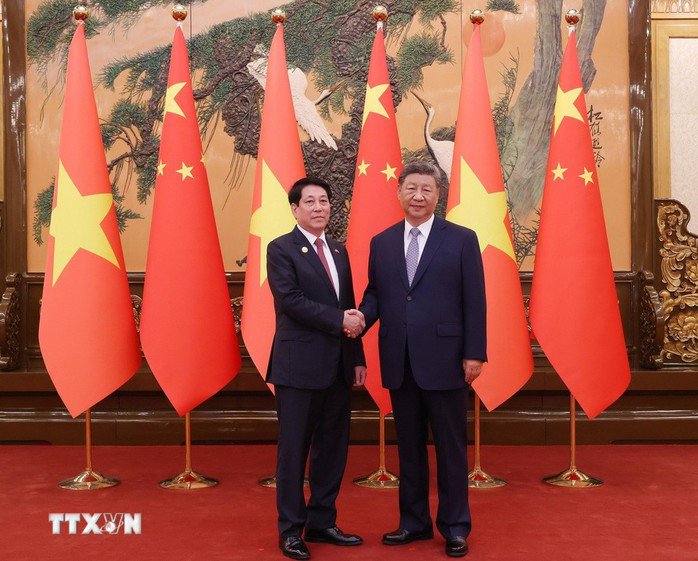 Chủ tịch nước Lương Cường hội đàm với Tổng Bí thư, Chủ tịch Trung Quốc Tập Cận Bình - 4
