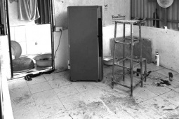 An ninh - Xã hội - Góc pháp lý vụ bà nội sát hại 2 cháu ruột ở Hưng Yên