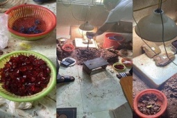 An ninh - Xã hội - Sự thật sau chiêu lừa đá quý giá 50 triệu đồng/carat trên mạng xã hội