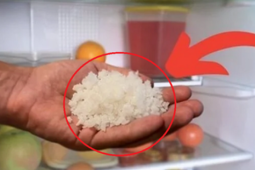 Lợi ích không ngờ nếu trữ đông bánh mì …