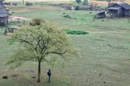 Du lịch - Bản Tà Phình Mộc Châu có gì hấp dẫn mà ai cũng muốn một lần ghé thăm?