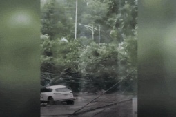 Bão Kajiki gây thiệt hại 2.900 tỷ đồng