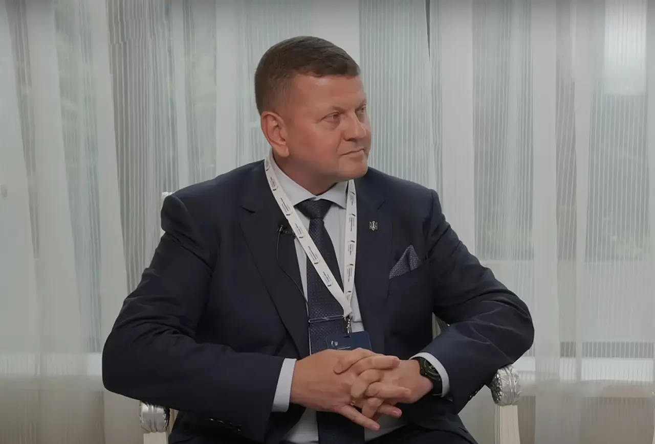 Cựu Tổng Tư lệnh Ukraine Valery Zaluzhny. Ảnh: Topwar.ru.