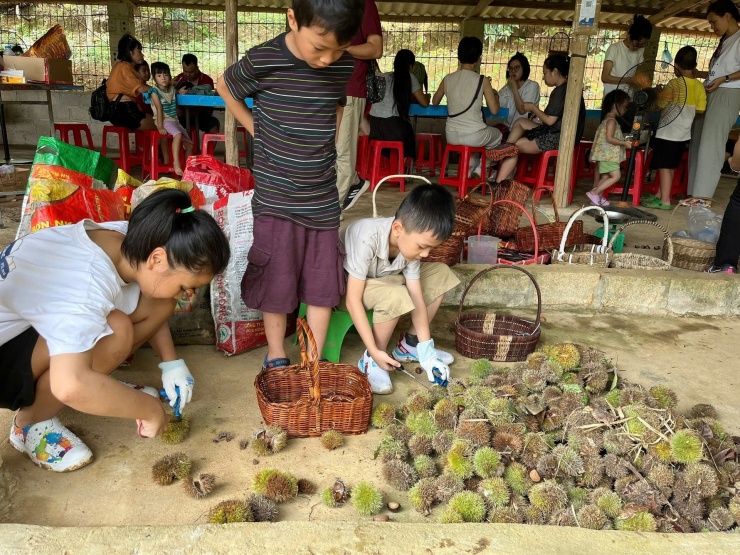 Khách Hà Nội đổ về Lạng Sơn &#39;truy tìm&#39; đặc sản gai chi chít, hạt ngọt thơm - 6