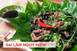 Tin tức sức khỏe - 4 sai lầm “tai hại” mà người đau nhức xương khớp dễ mắc phải khiến cơ bắp teo nhão, đau nhức dai dẳng