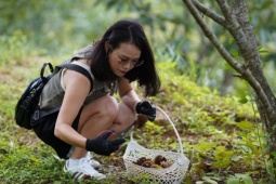 Khách Hà Nội đổ về Lạng Sơn 'truy tìm' đặc sản gai chi chít, hạt ngọt thơm