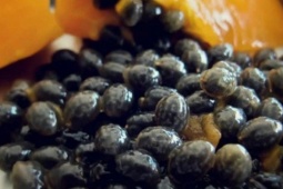 Sức khỏe đời sống - Ăn đu đủ chín đừng vứt hạt: Đây là công dụng tuyệt vời, rất nhiều người chưa biết