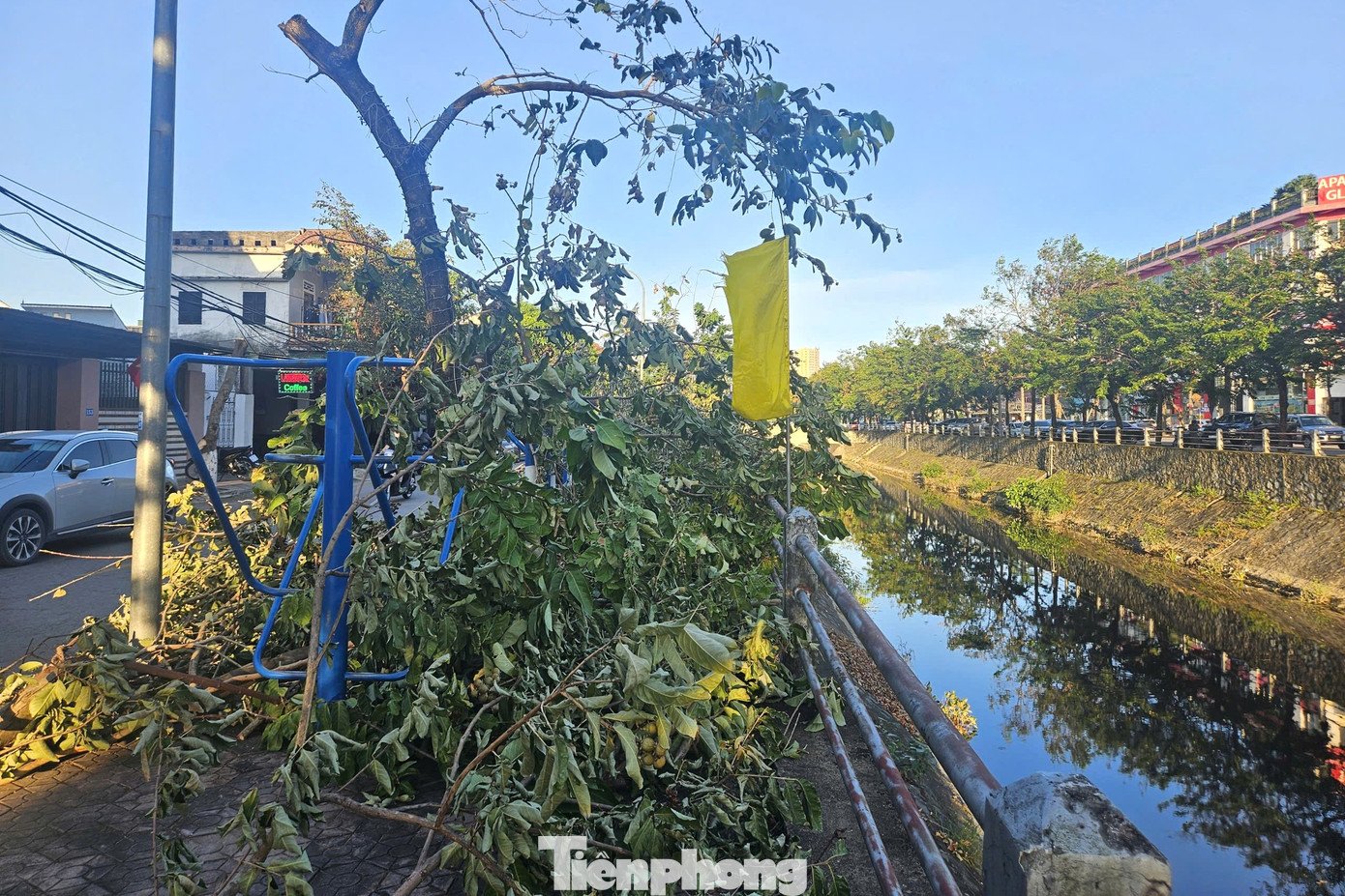 Hơn 10 ngày sau bão Kajiki, nhiều tuyến đường vẫn ngổn ngang cây đổ - 5