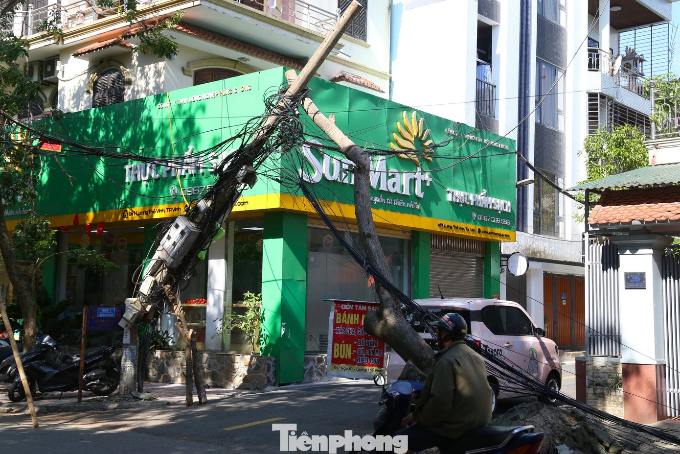 Hơn 10 ngày sau bão Kajiki, nhiều tuyến đường vẫn ngổn ngang cây đổ - 13