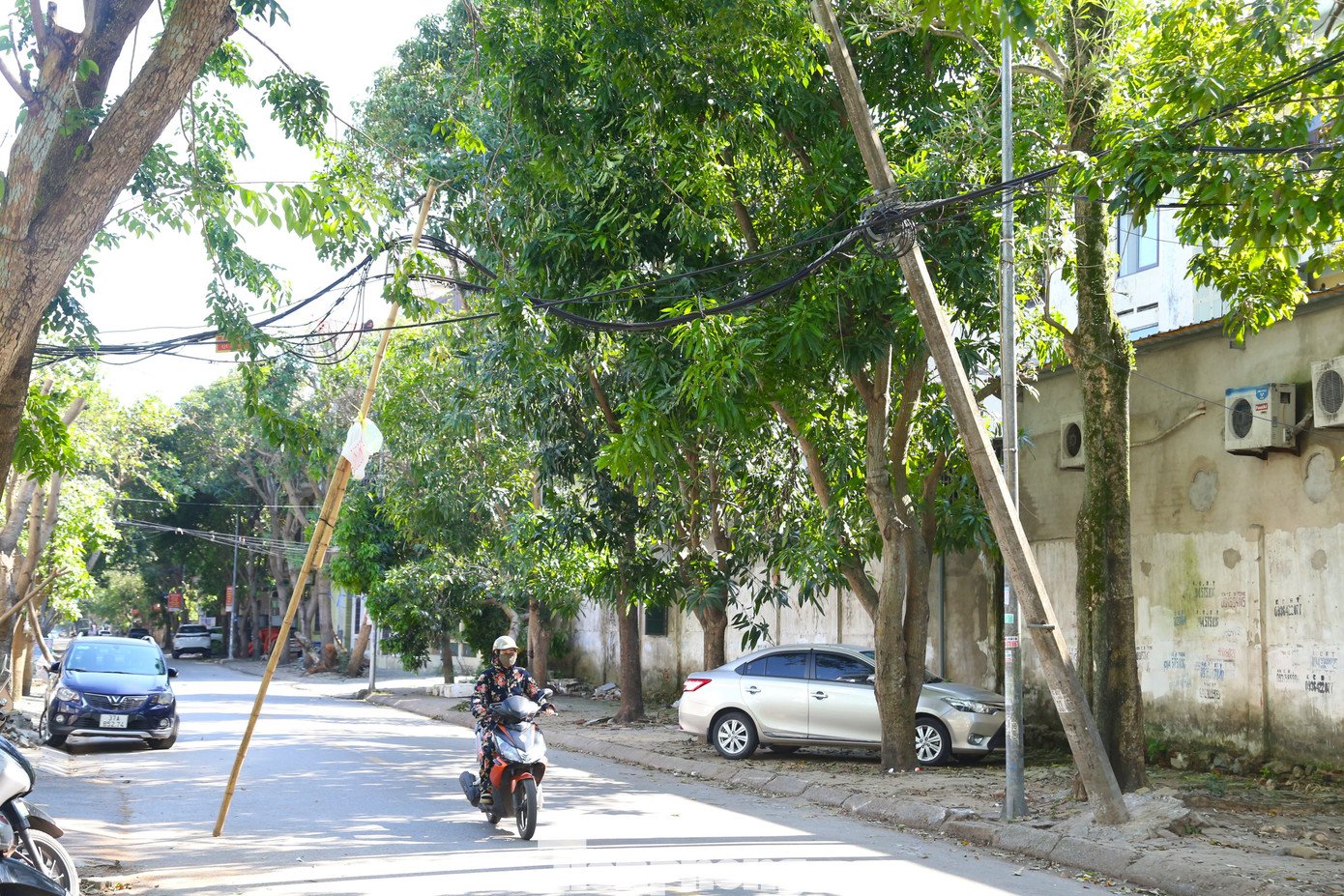 Hơn 10 ngày sau bão Kajiki, nhiều tuyến đường vẫn ngổn ngang cây đổ - 14