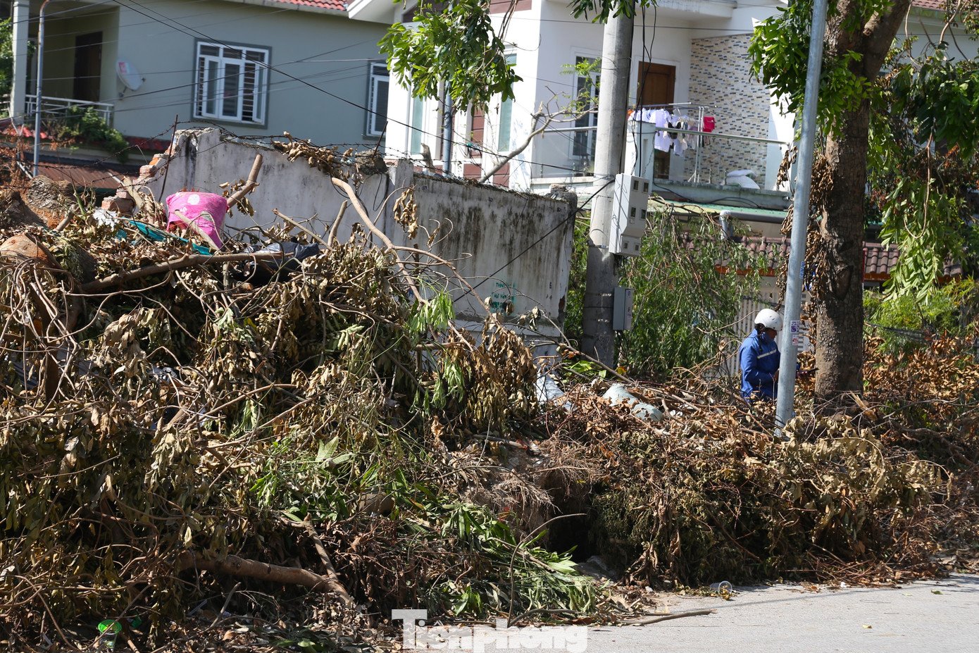 Hơn 10 ngày sau bão Kajiki, nhiều tuyến đường vẫn ngổn ngang cây đổ - 15