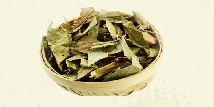 Cây dại mọc đầy ở Việt Nam, ở nước ngoài hóa “cây tiền” - 3