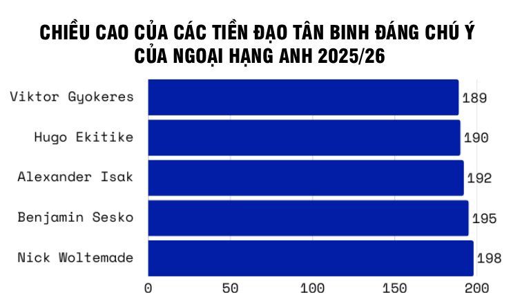 Chiều cao của các tiền đạo tân binh ở Ngoại hạng Anh (đơn vị: cm)