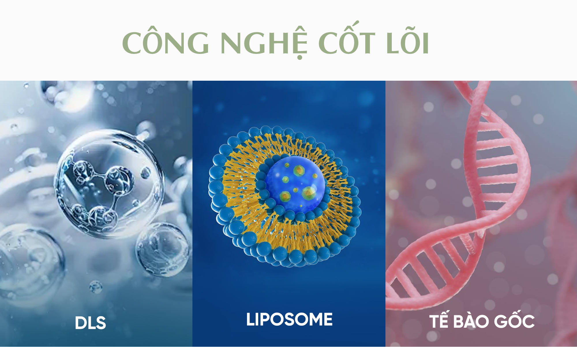 GreenTec Concept: Công nghệ chăm da hiện đại từ Dr.Belter – Thương hiệu sinh học chuẩn Đức - 3