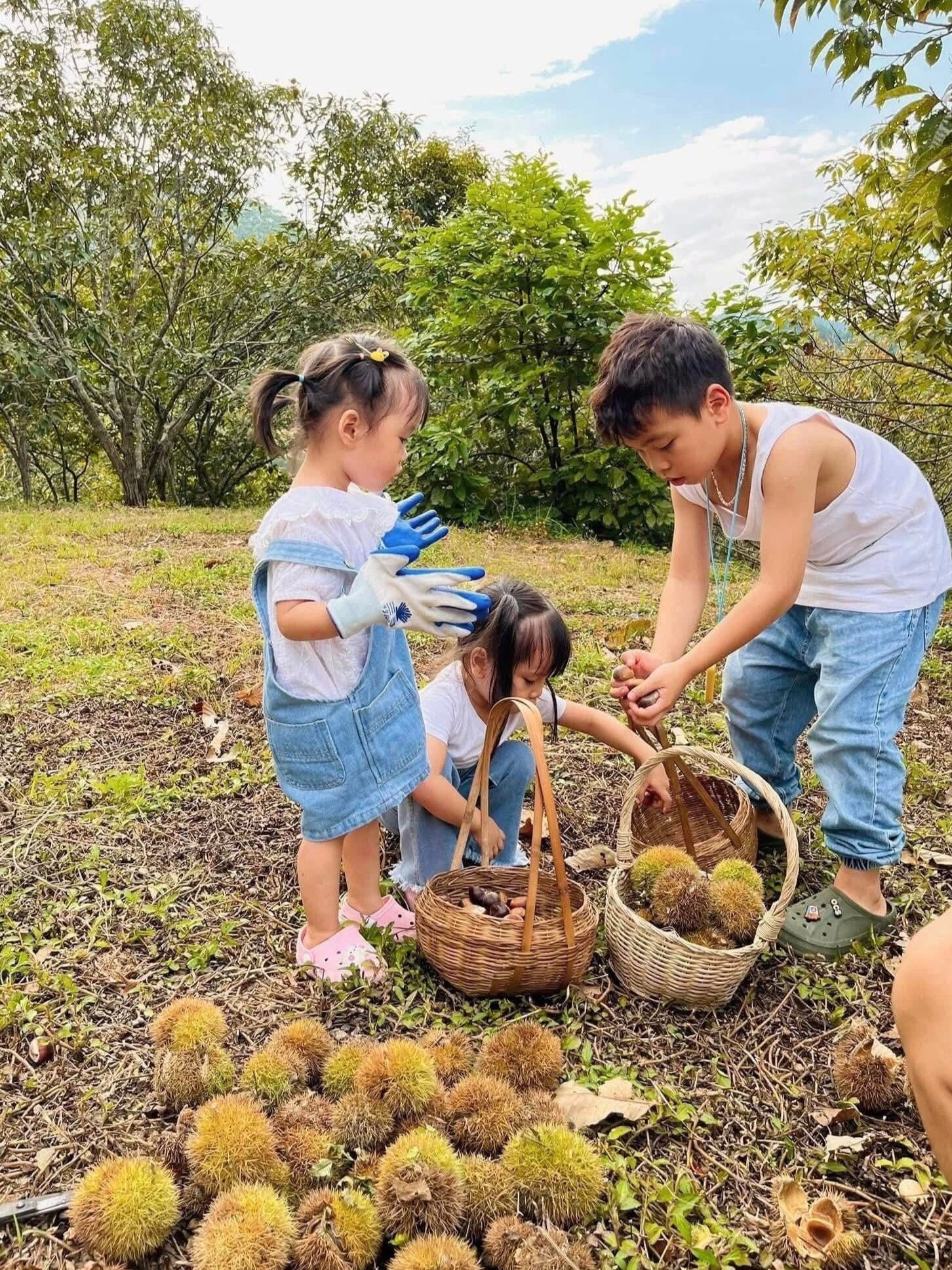 Khách Hà Nội đổ về Lạng Sơn &#39;truy tìm&#39; đặc sản gai chi chít, hạt ngọt thơm - 3