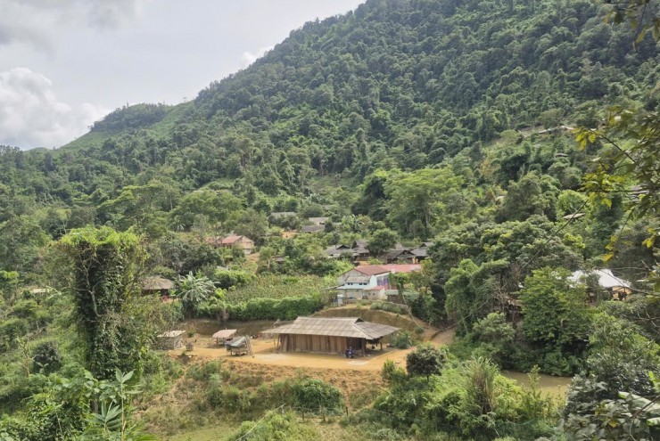Truy tìm đàn sói hoang ở Điện Biên: Sự nhập cuộc chưa hồi kết của cơ quan chức năng
