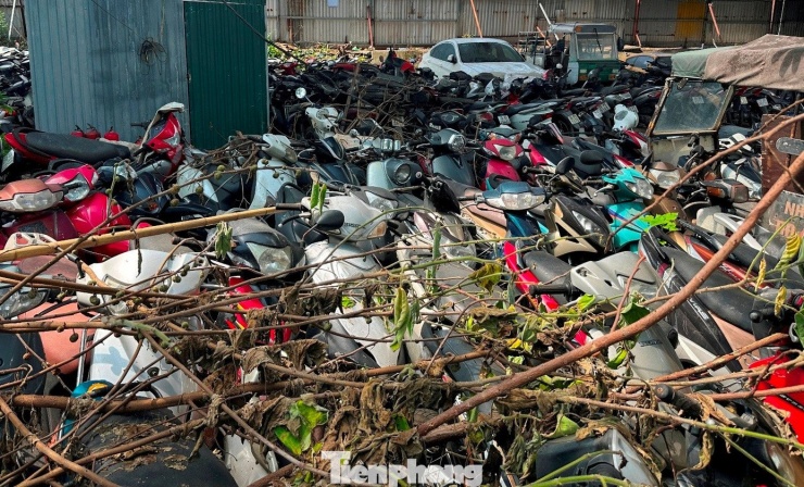 Còn bạt ngàn xe máy tại bãi xe bị cháy dưới gầm cầu Vĩnh Tuy - 4