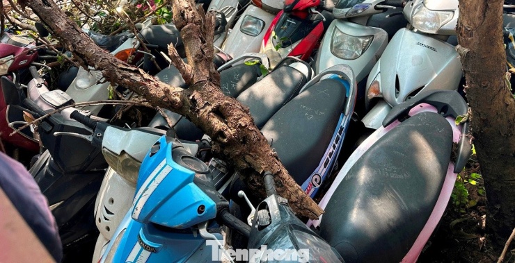 Còn bạt ngàn xe máy tại bãi xe bị cháy dưới gầm cầu Vĩnh Tuy - 8